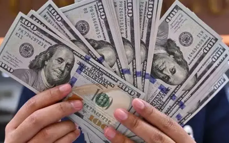 ثبات سعر الصرف.. تحركات الدولار مقابل الجنيه المصري في تعاملات الثلاثاء بمستهل فبراير